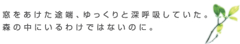 窓をあけた途端、ゆっくりと深呼吸していた。森の中にいるわけではないのに。